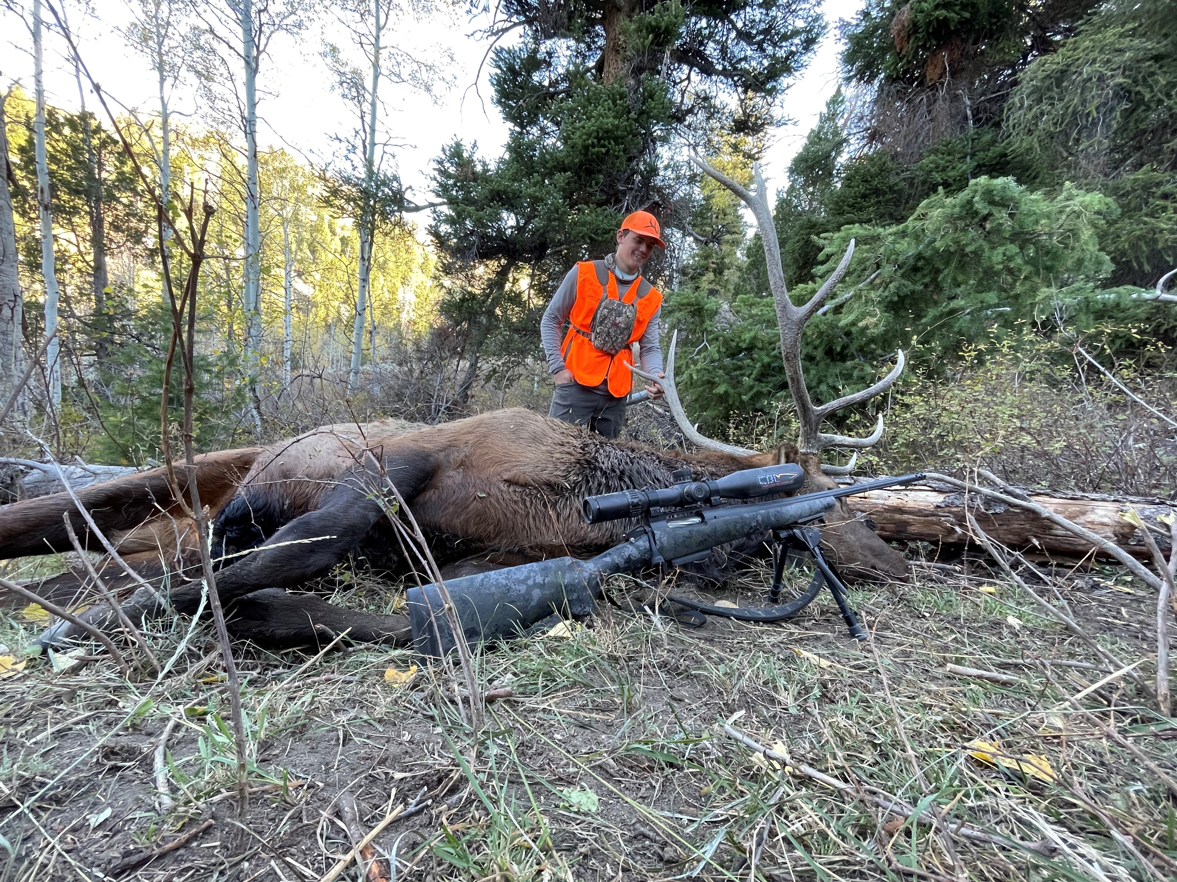 elk.jpg