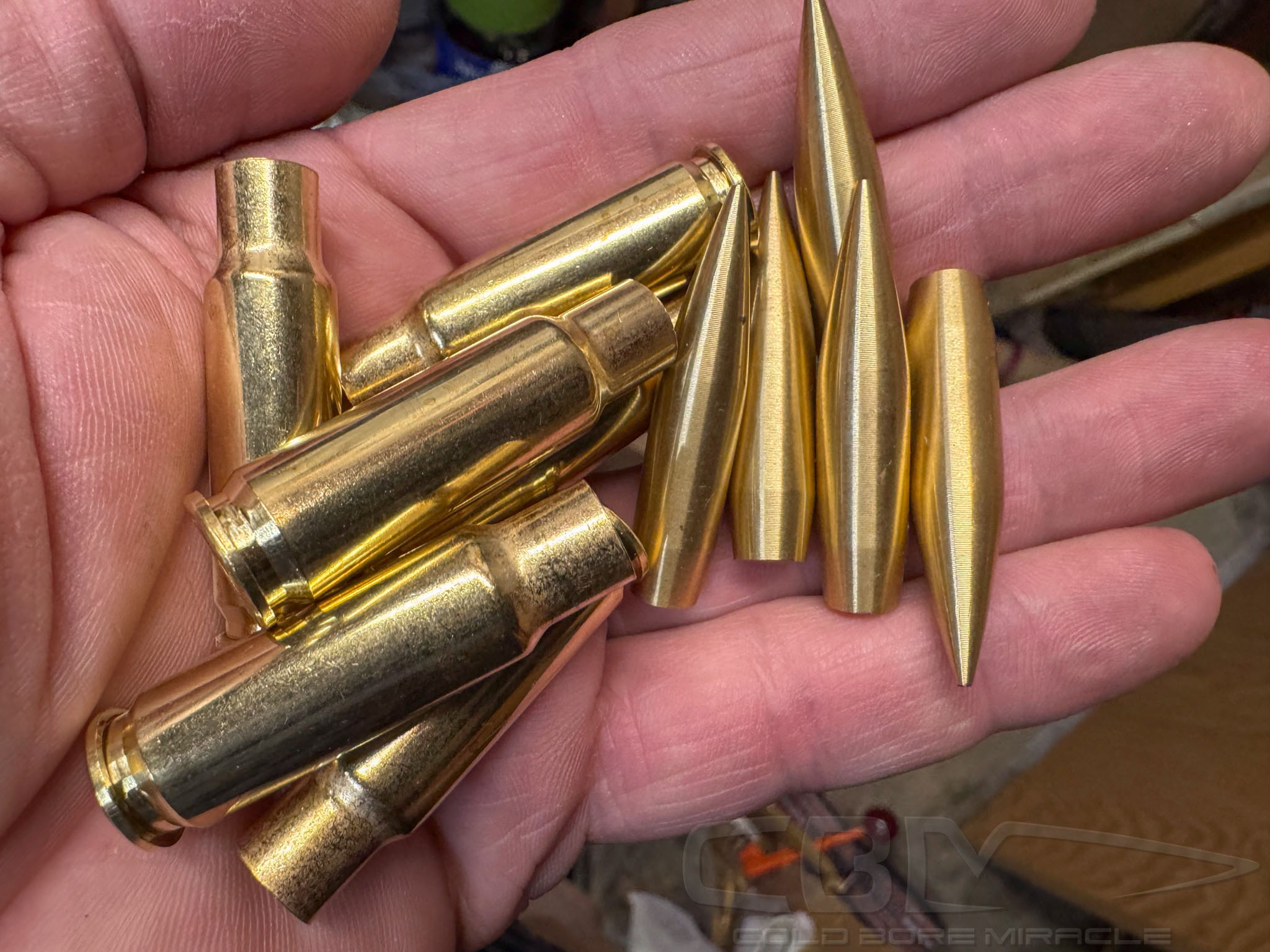 Fast Twist and Quiet Shooting: The 8.6 Blackout - Coldboremiracle